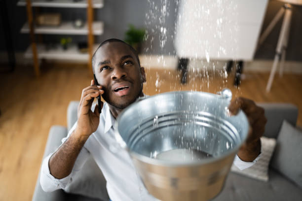 Best Water damage restoration near me  in Hainesvle, IL