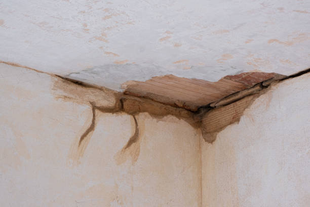 Best 24-hour water damage restoration  in Hainesvle, IL