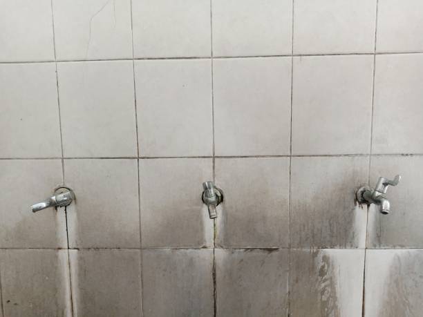 Best Water damage restoration near me  in Hainesvle, IL