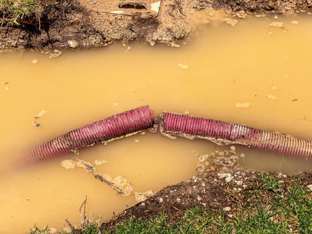  Hainesvle, IL Water damage restoration Pros