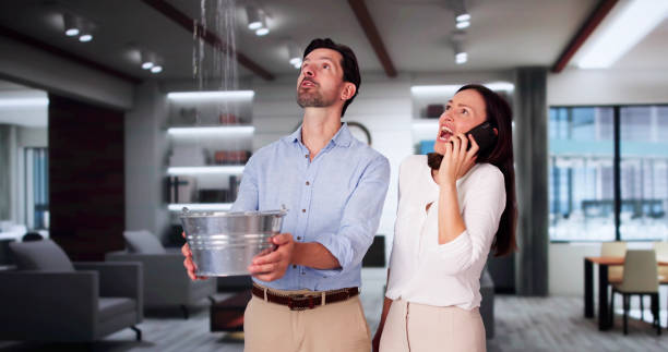 Best Professional water damage repair  in Hainesvle, IL