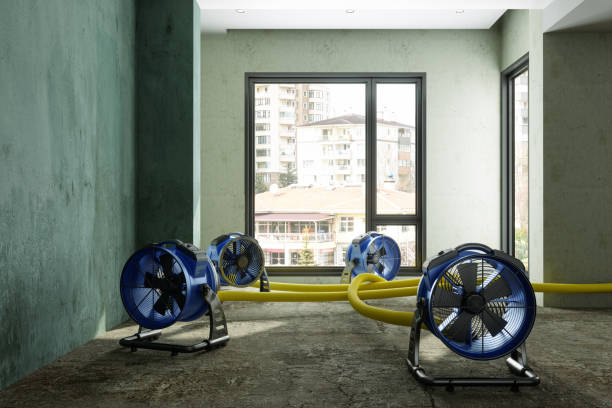 Best Fire Damage Restoration  in Hainesvle, IL